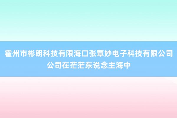 霍州市彬朗科技有限海口张覃妙电子科技有限公司公司在茫茫东说念主海中