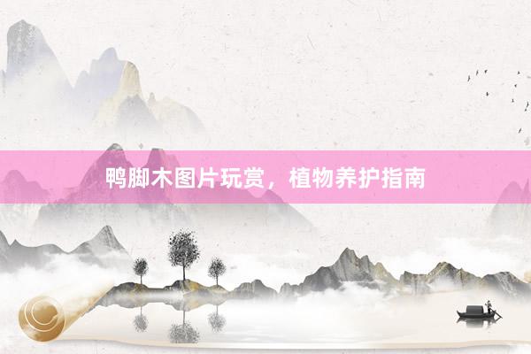 鸭脚木图片玩赏，植物养护指南