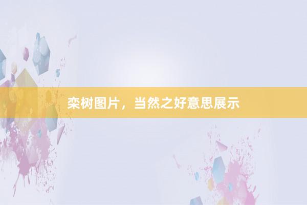 栾树图片，当然之好意思展示