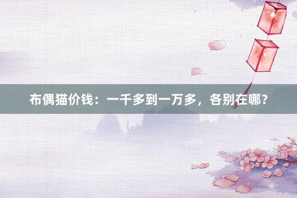 布偶猫价钱:一千多到一万多,各别在哪?