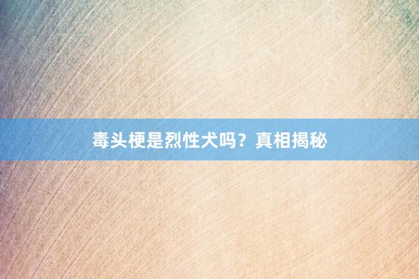 毒头梗是烈性犬吗？真相揭秘